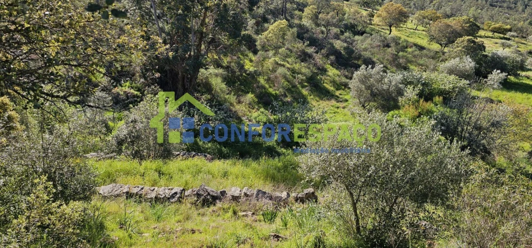 Terreno para Venda em Benquerenças Foto 9