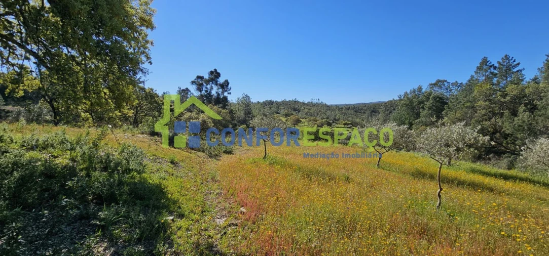 Terreno para Venda em Benquerenças Foto 18