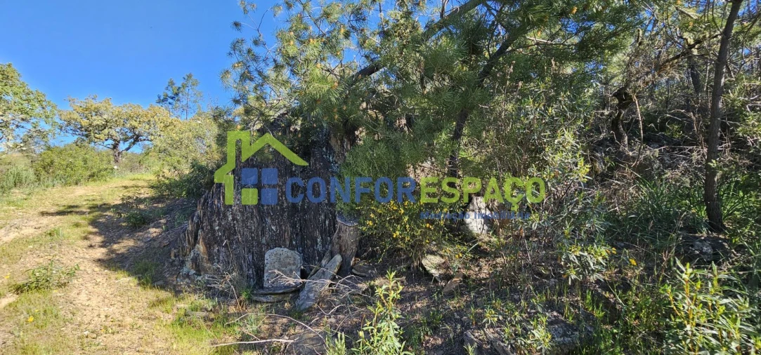 Terreno para Venda em Benquerenças Foto 20