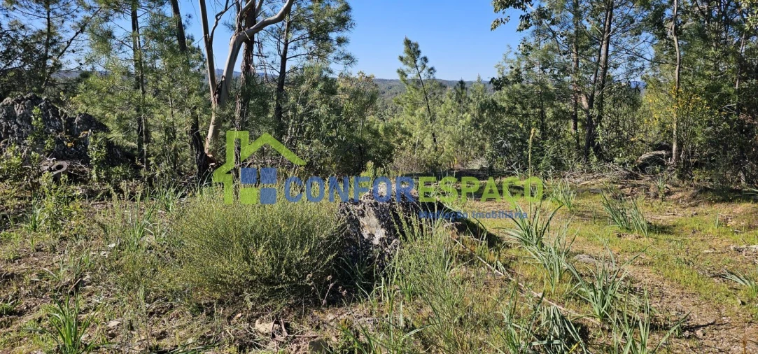 Terreno para Venda em Benquerenças