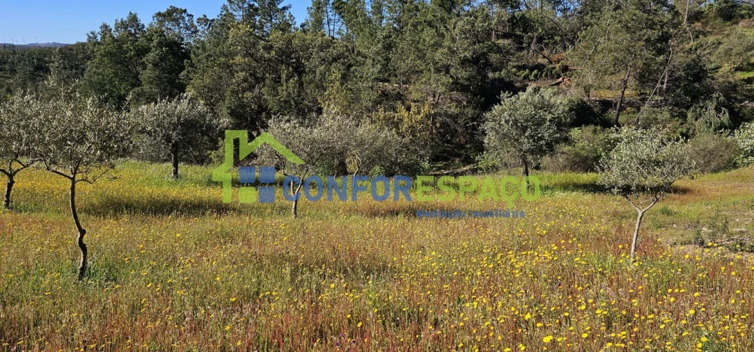 Terreno para Venda em Benquerenças Foto 7