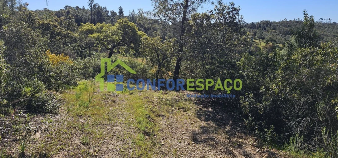 Terreno para Venda em Benquerenças Foto 6