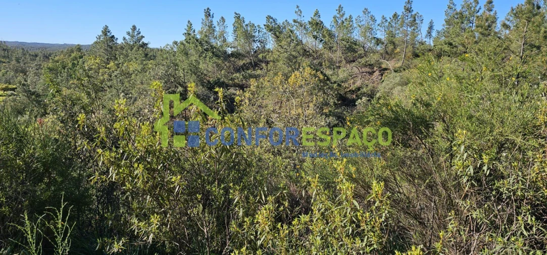 Terreno para Venda em Benquerenças Foto 5