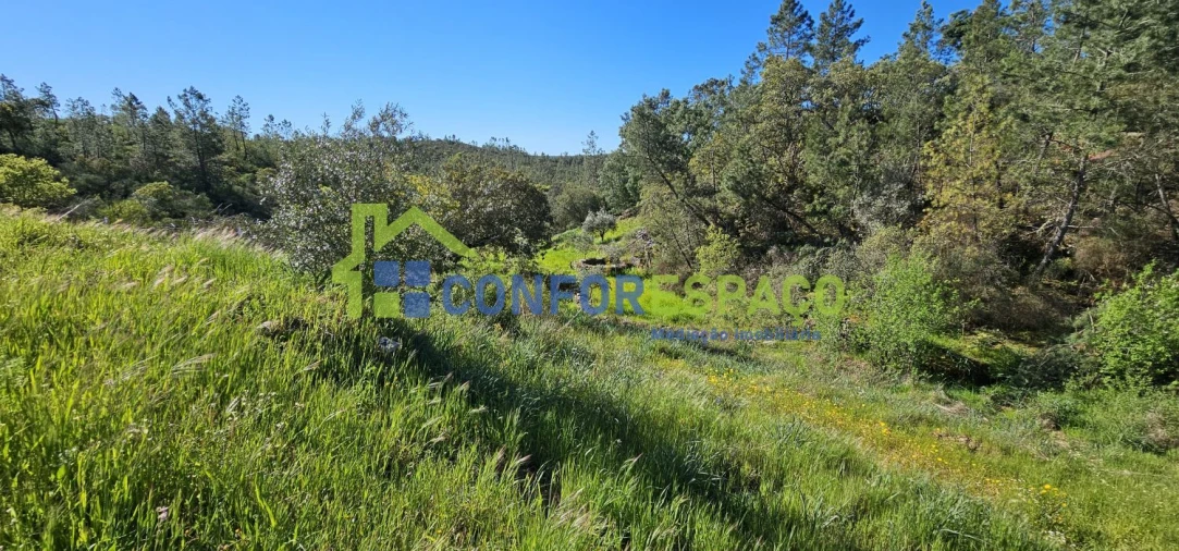 Terreno para Venda em Benquerenças Foto 15