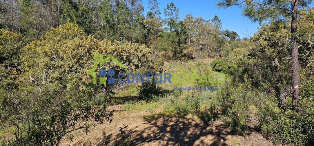 Terreno para Venda em Benquerenças Foto 3