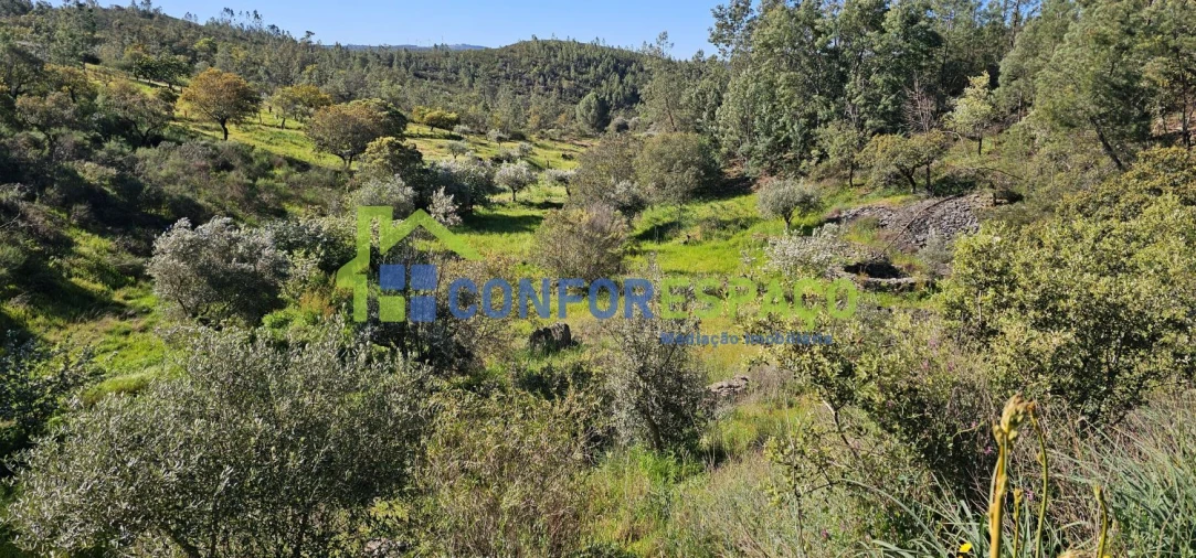 Terreno para Venda em Benquerenças Foto 10