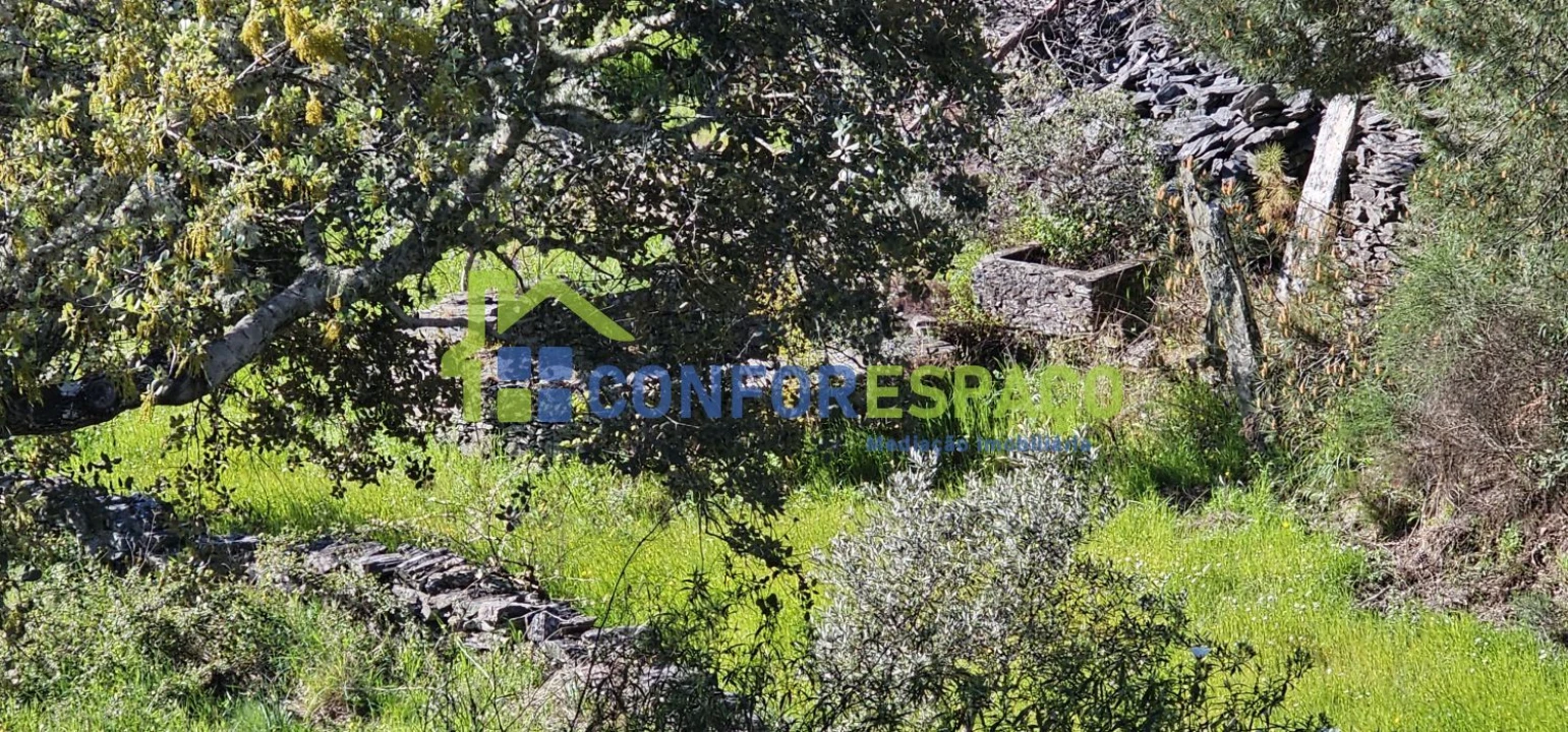 Terreno para Venda em Benquerenças Foto 13