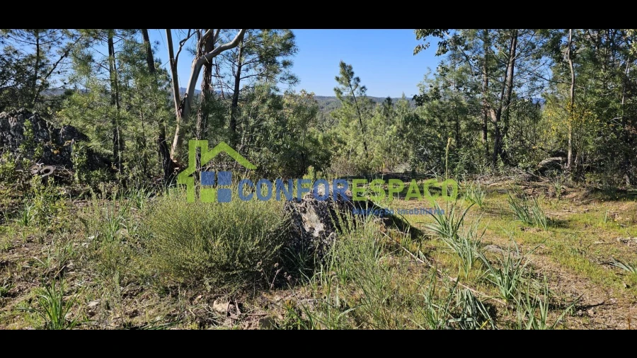 Terreno para Venda em Benquerenças