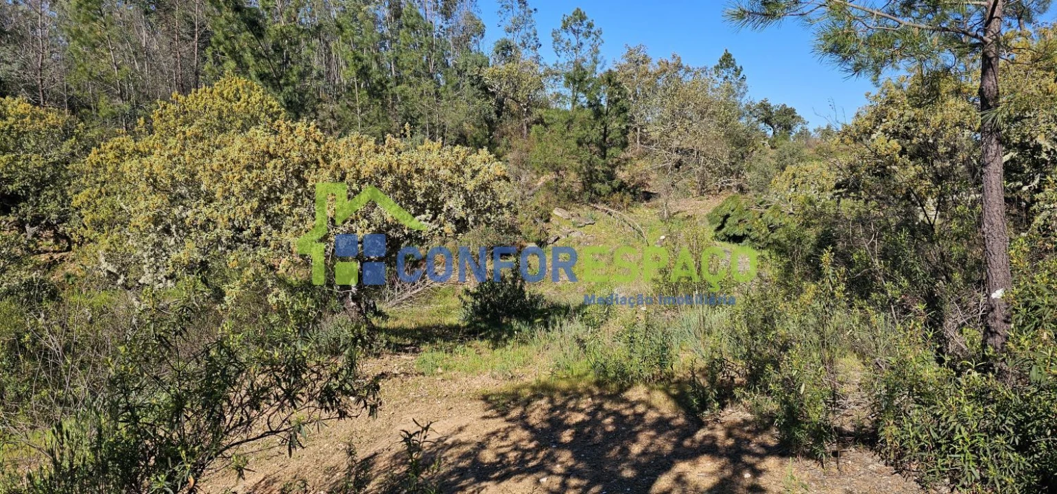 Terreno para Venda em Benquerenças Foto 3