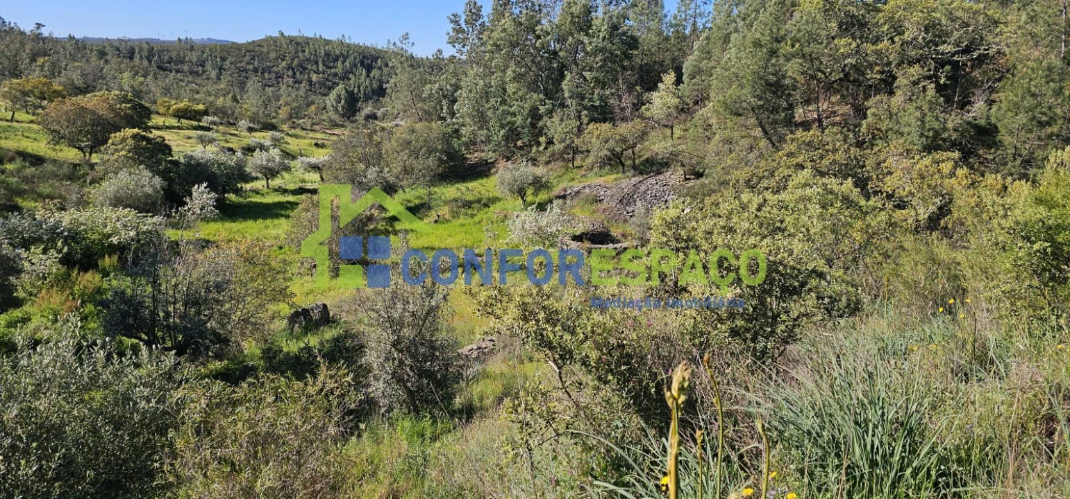 Terreno para Venda em Benquerenças Foto 11