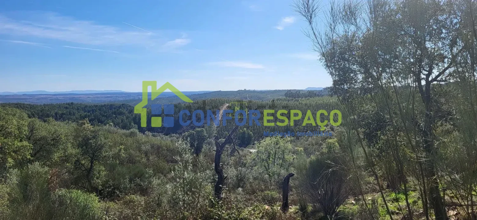 Quinta T4 para Venda em Castelo Branco Foto 21