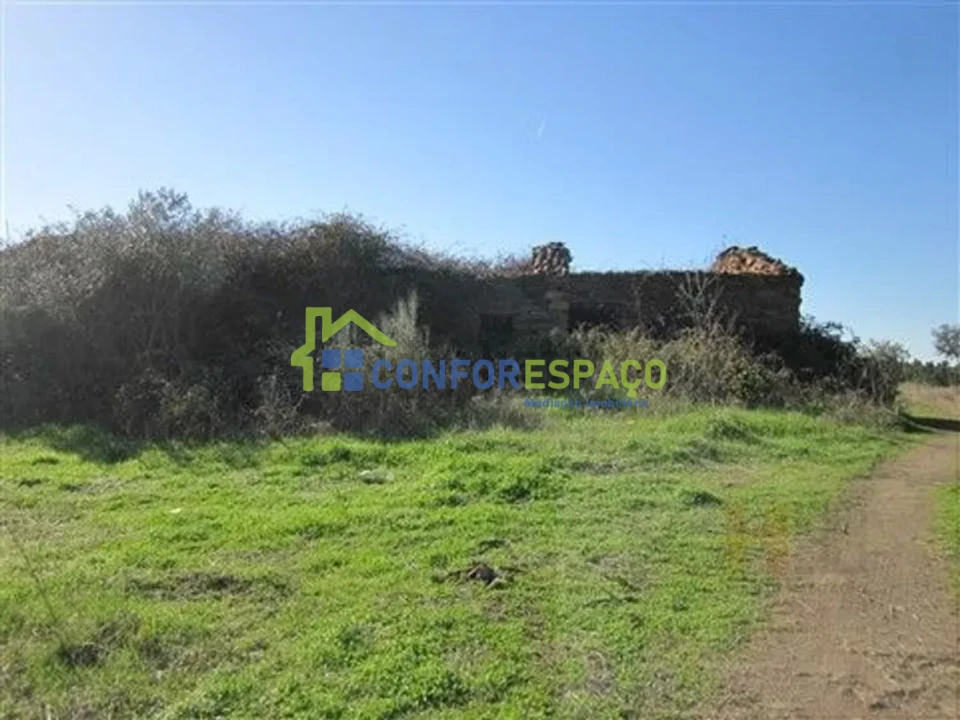 Quinta T4 para Venda em Castelo Branco Foto 15