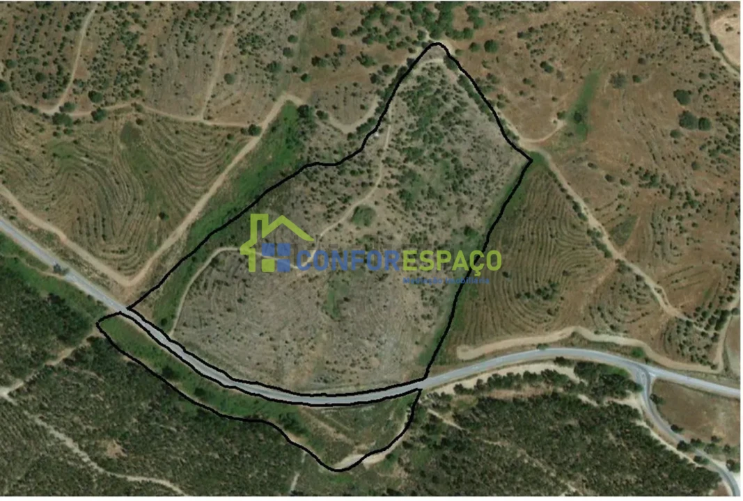 Quinta T4 para Venda em Castelo Branco Foto 11