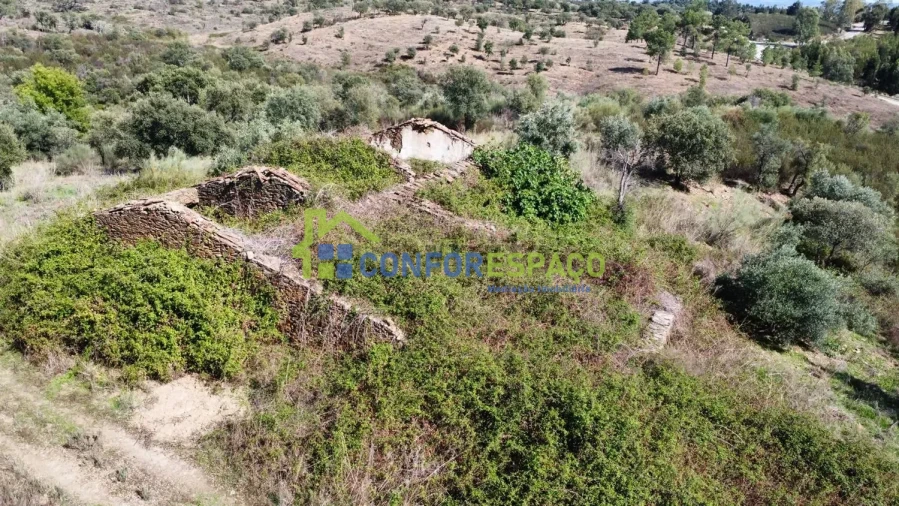 Quinta T4 para Venda em Castelo Branco Foto 3