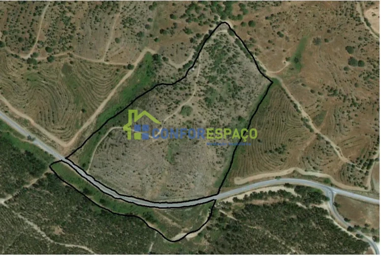 Quinta T4 para Venda em Castelo Branco Foto 11