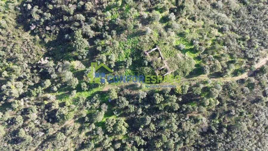 Quinta T4 para Venda em Castelo Branco Foto 32