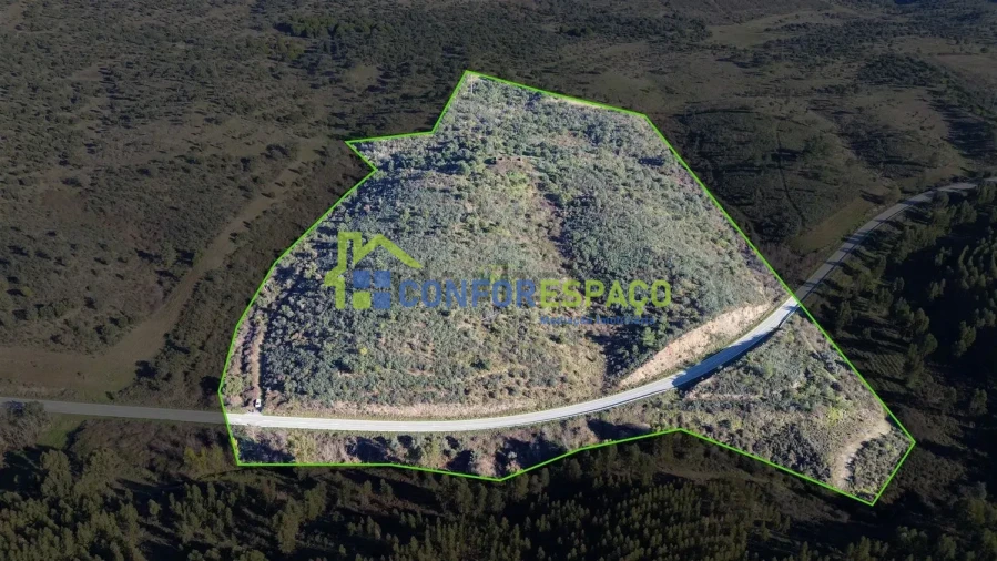 Quinta T4 para Venda em Castelo Branco Foto 19