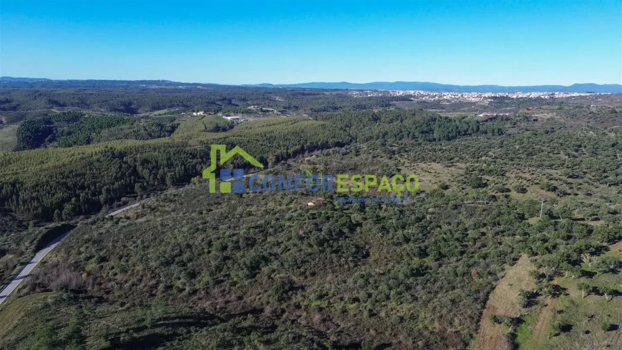 Quinta T4 para Venda em Castelo Branco Foto 34