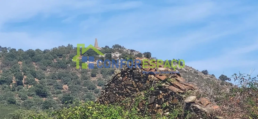 Quinta T4 para Venda em Castelo Branco Foto 1