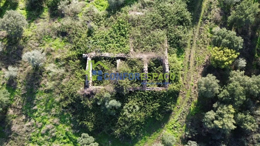 Quinta T4 para Venda em Castelo Branco Foto 5