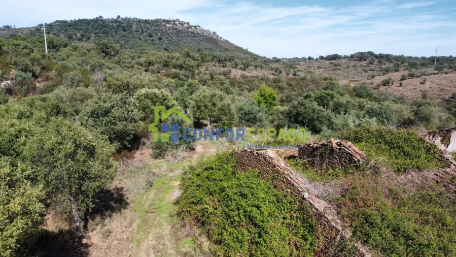 Quinta T4 para Venda em Castelo Branco Foto 2