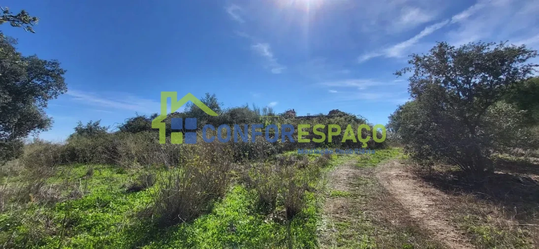 Quinta T4 para Venda em Castelo Branco Foto 17