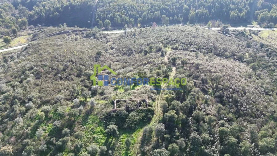 Quinta T4 para Venda em Castelo Branco Foto 29