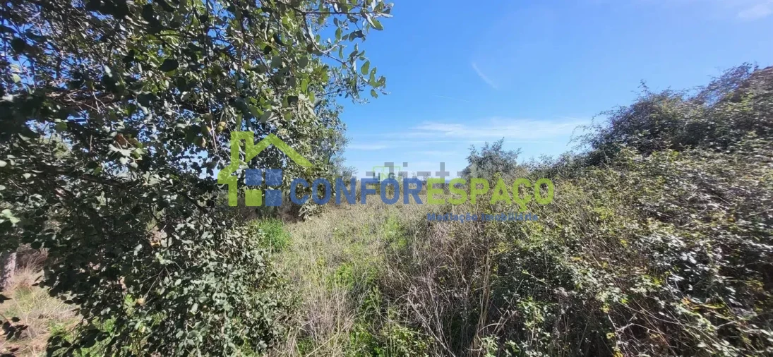 Quinta T4 para Venda em Castelo Branco Foto 26