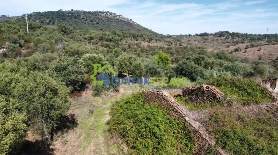 Quinta T4 para Venda em Castelo Branco Foto 16