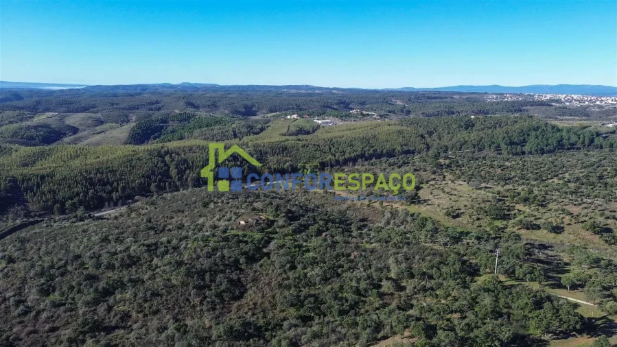 Quinta T4 para Venda em Castelo Branco Foto 33