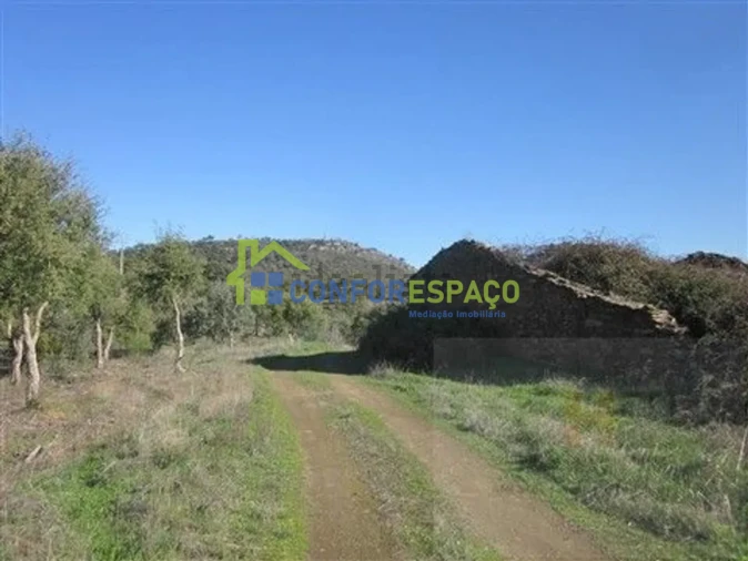 Quinta T4 para Venda em Castelo Branco Foto 14