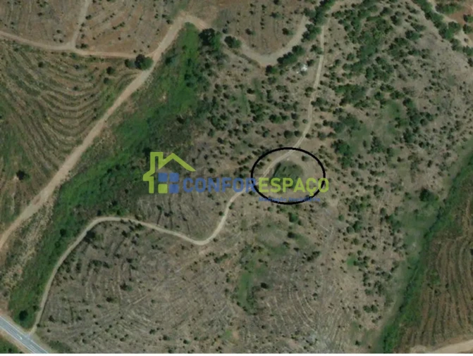 Quinta T4 para Venda em Castelo Branco Foto 12