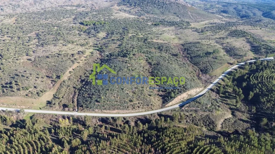 Quinta T4 para Venda em Castelo Branco Foto 9