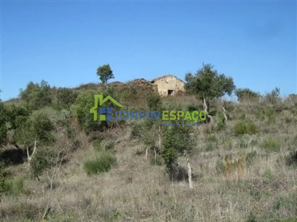 Quinta T4 para Venda em Castelo Branco Foto 8