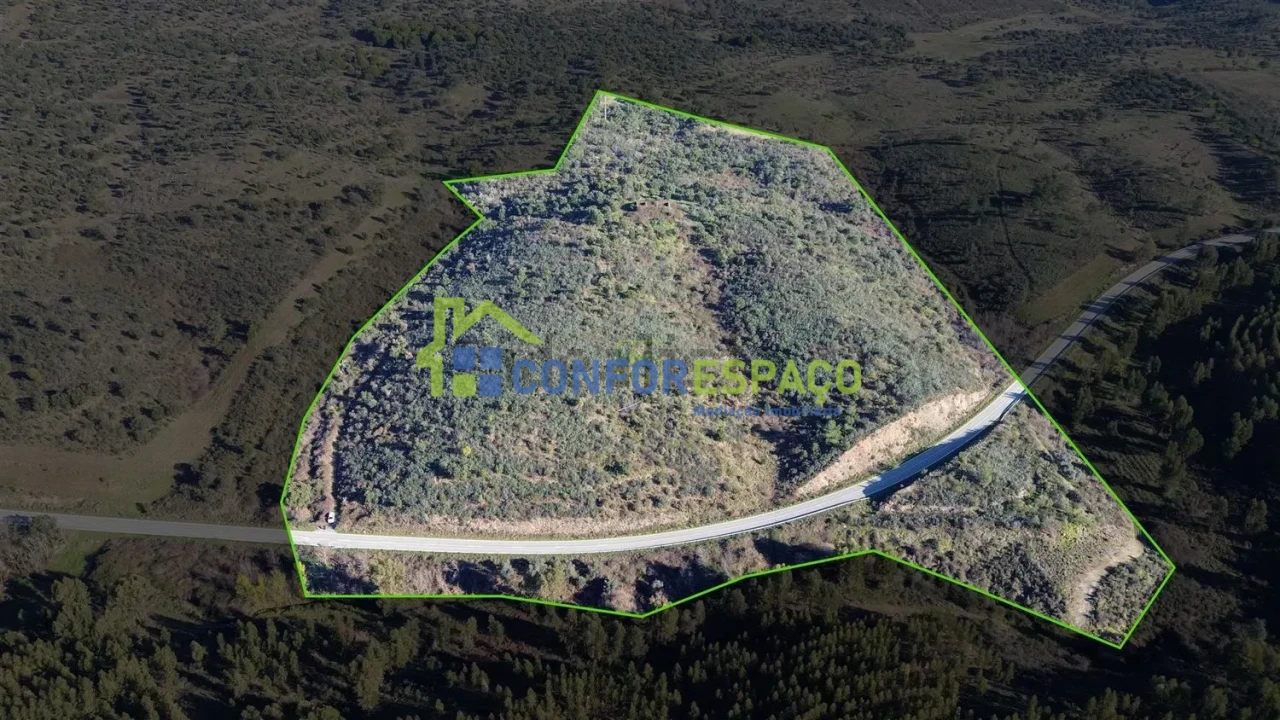 Quinta T4 para Venda em Castelo Branco Foto 19