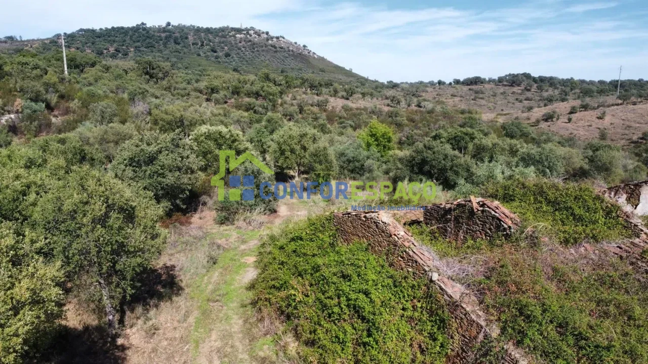 Quinta T4 para Venda em Castelo Branco Foto 2