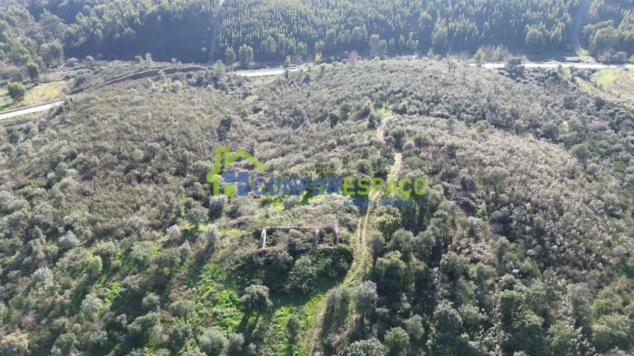 Quinta T4 para Venda em Castelo Branco Foto 29