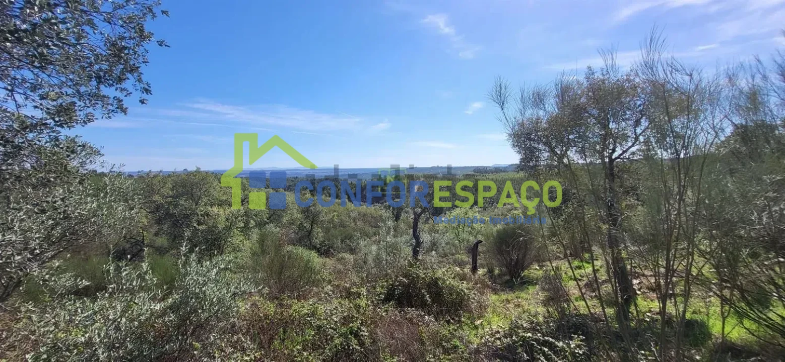 Quinta T4 para Venda em Castelo Branco Foto 27