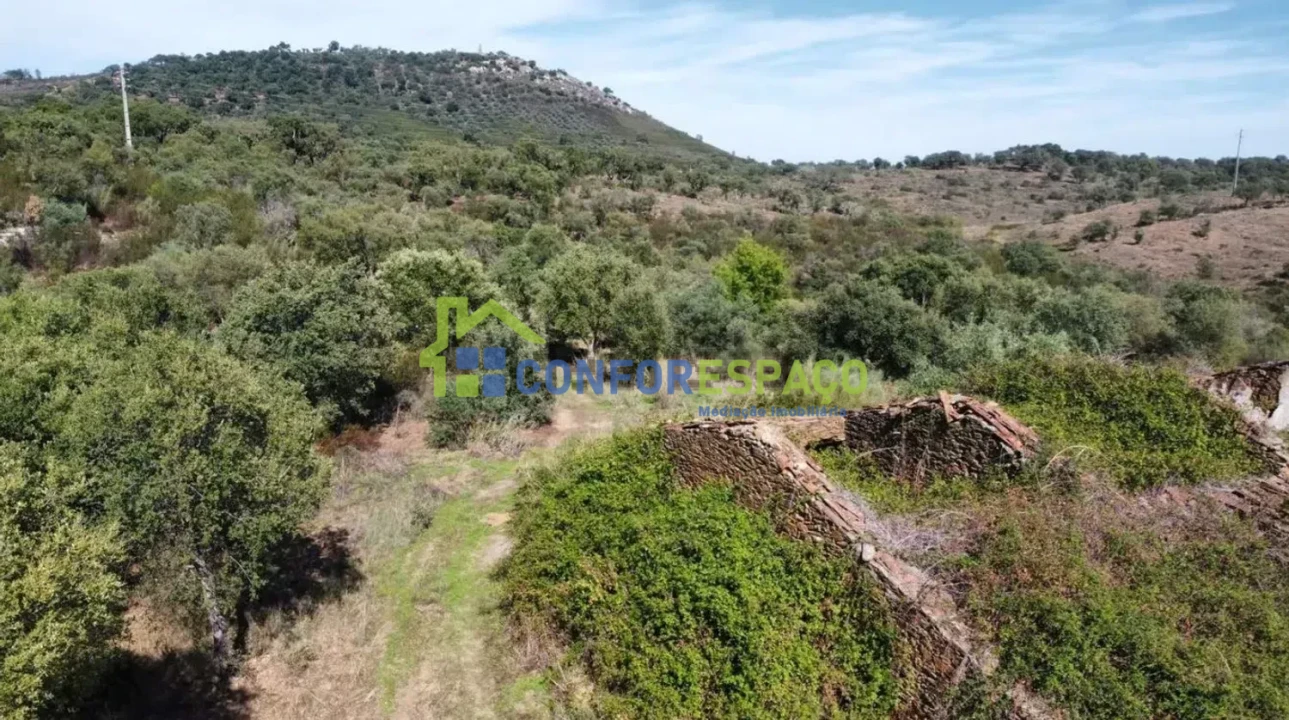 Quinta T4 para Venda em Castelo Branco Foto 16