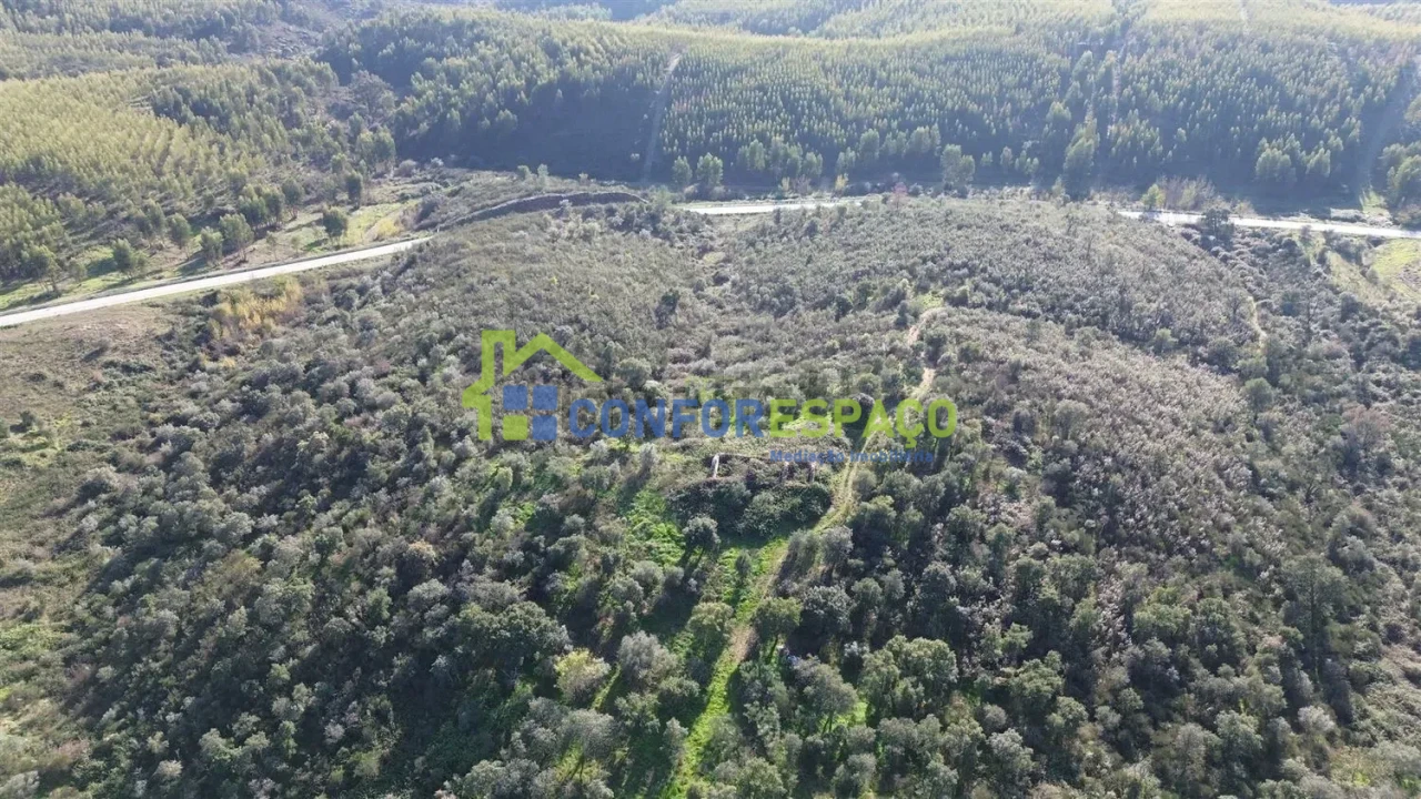 Quinta T4 para Venda em Castelo Branco Foto 30