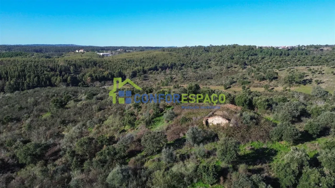 Quinta T4 para Venda em Castelo Branco Foto 4