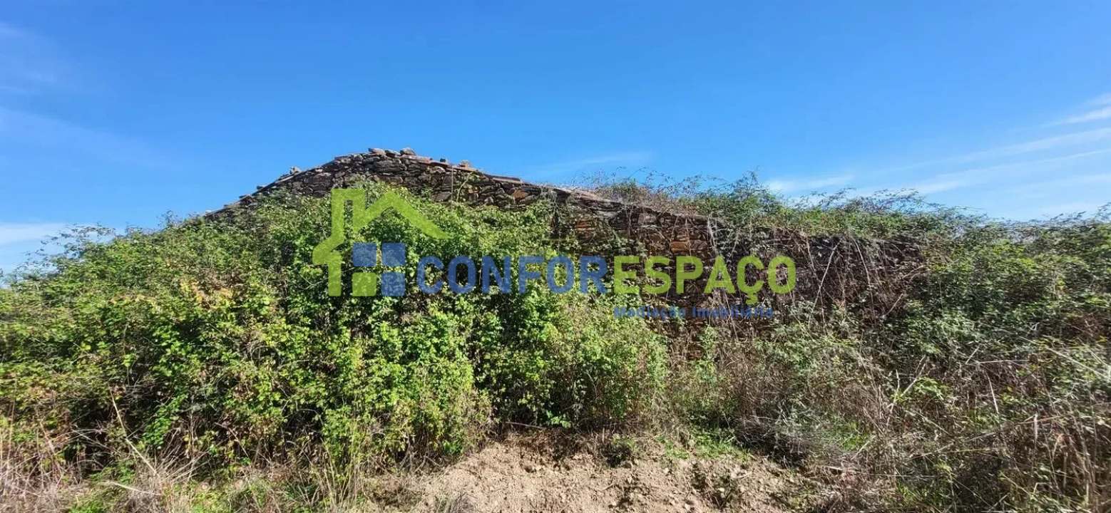 Quinta T4 para Venda em Castelo Branco Foto 18