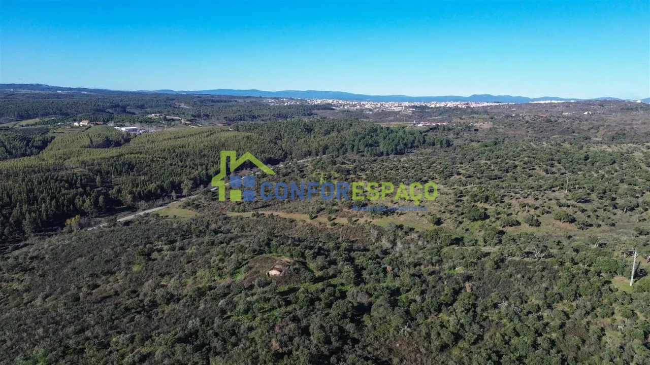 Quinta T4 para Venda em Castelo Branco Foto 35