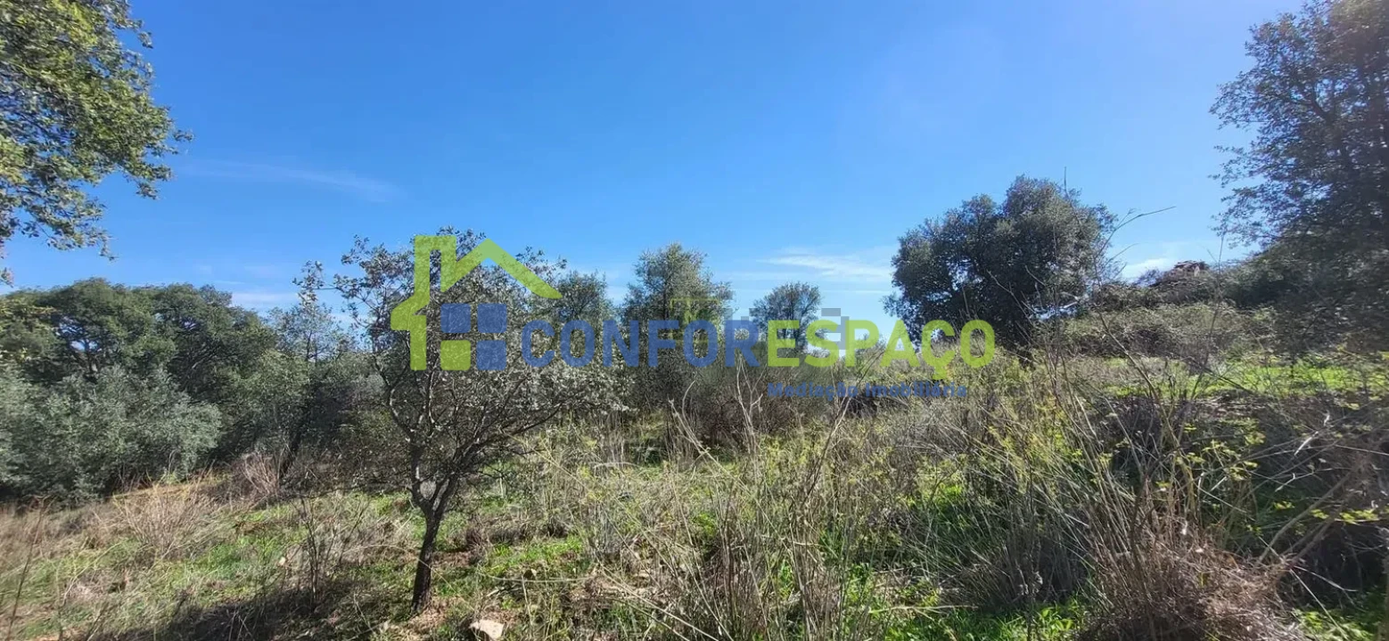 Quinta T4 para Venda em Castelo Branco Foto 24