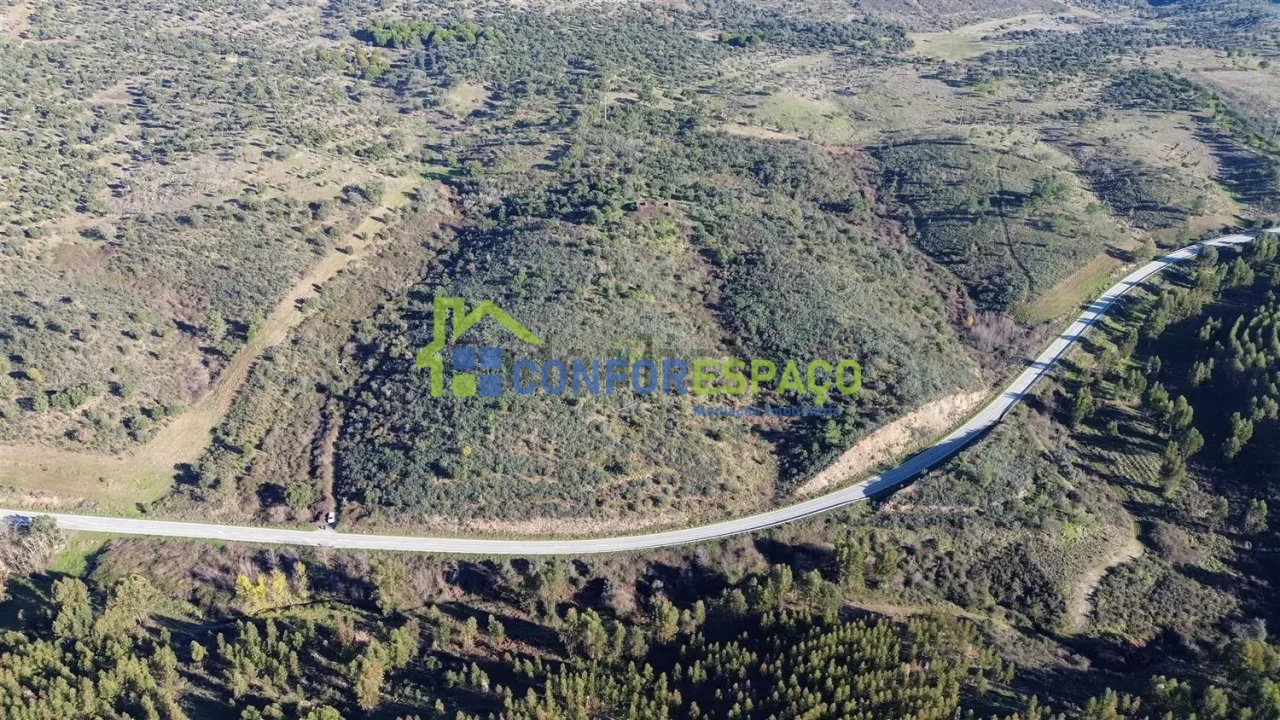 Quinta T4 para Venda em Castelo Branco Foto 10