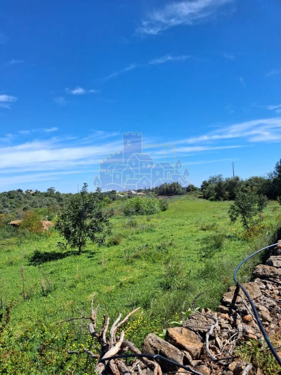 Terreno para Venda em Silves Foto 2