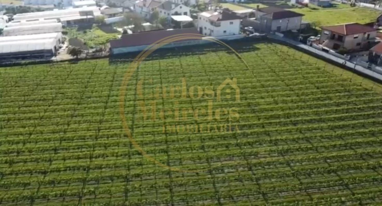 Terreno para Venda em Varzea Foto 1