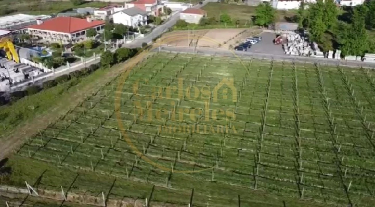 Terreno para Venda em Varzea Foto 5