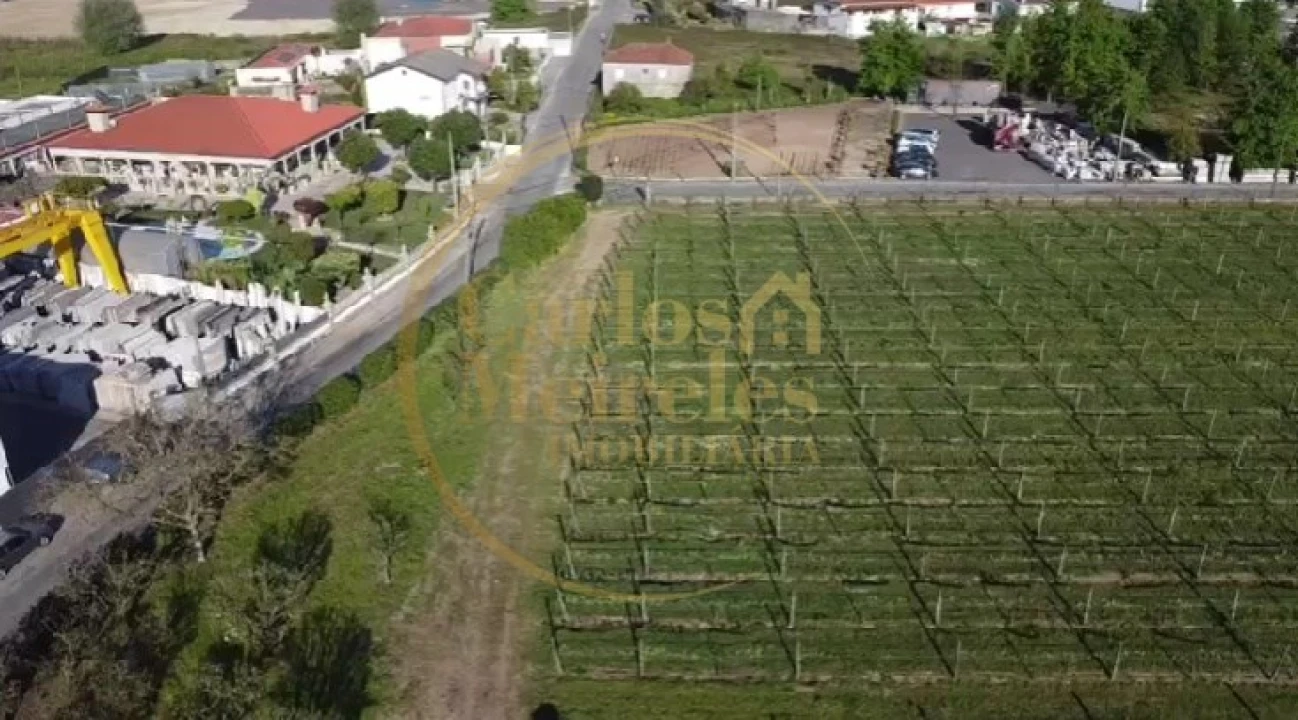 Terreno para Venda em Varzea Foto 6