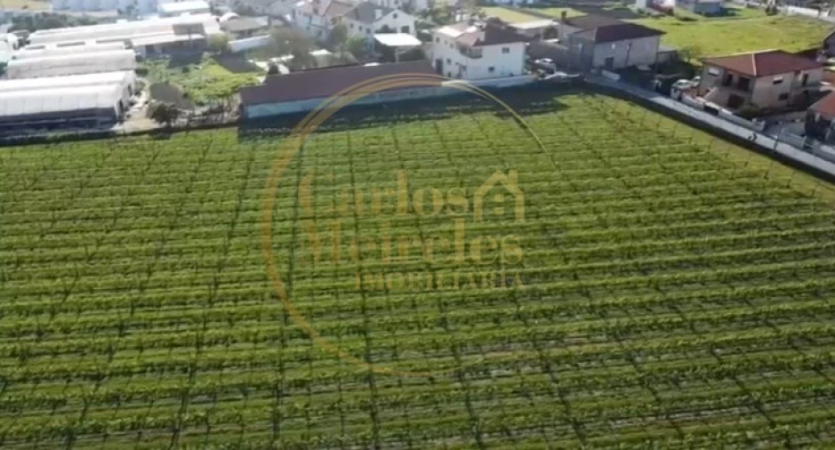 Terreno para Venda em Varzea